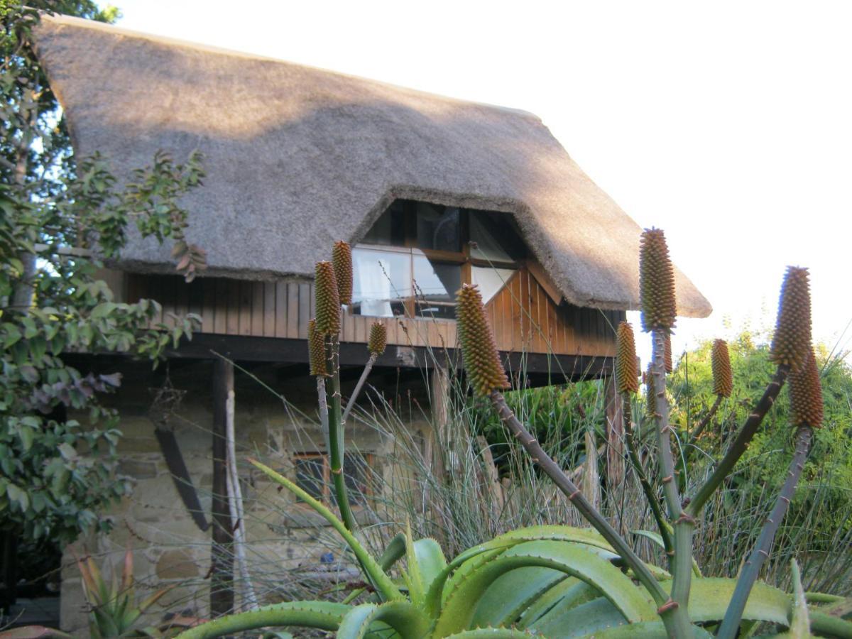 Hotel Driftwood Treehouse Sunrise-on-Sea Zewnętrze zdjęcie